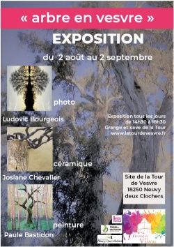 Exposition &quot;Arbre en Vesvre&quot; (photos, céramiques, peintures)