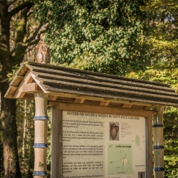 Circuits des lavoirs : 6 - Sentier découverte, 1,2 km