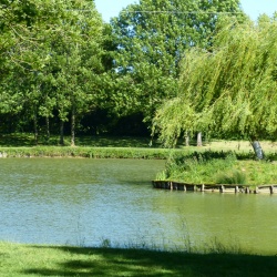 Etang de Neuvy-Deux-Clochers