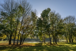 Etang de Neuvy-Deux-Clochers